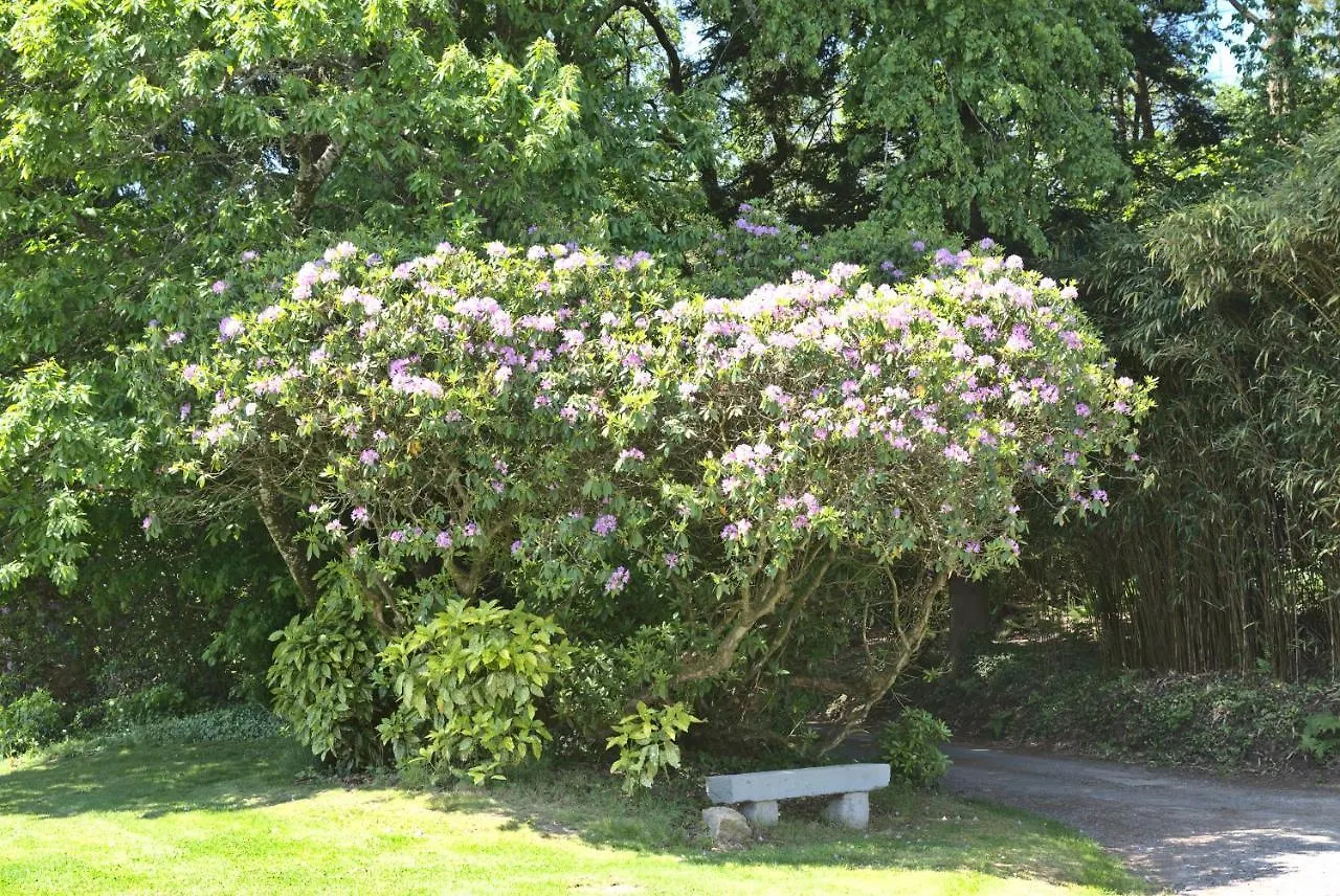Manoir De Kerguestenen Gestel ゲストハウス